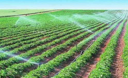 大鸡巴草性感小少妇农田高 效节水灌溉